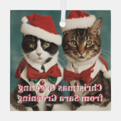 クリスマス猫ガパーソナライズされたスかわいい子猫たち ガラスオーナメント (裏面)