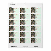 クリスマス猫ギフトラベル ラベル (フルシート)