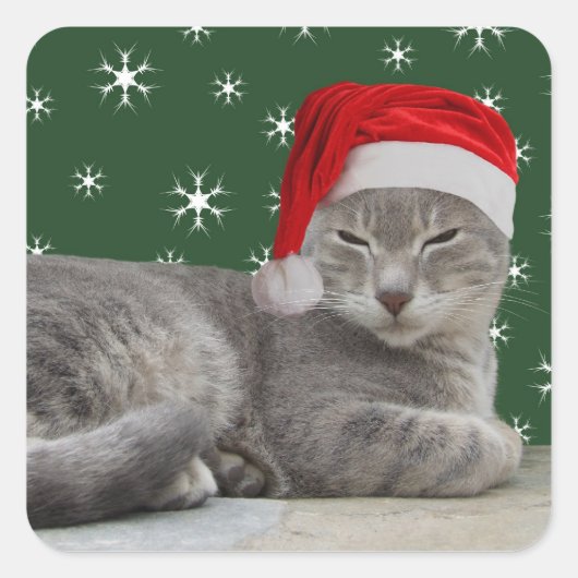 クリスマス猫シール スクエアシール (正面)