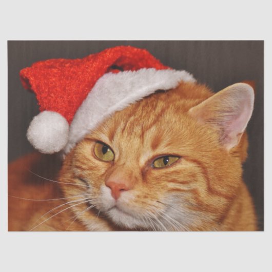 クリスマス猫ティッシュペーパー 薄葉紙 (正面)