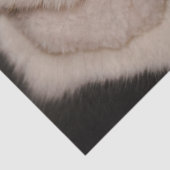 クリスマス猫ティッシュペーパー 薄葉紙 (詳細)