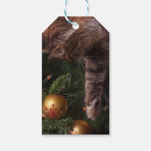 クリスマス猫 ギフトタグ (正面)