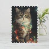 クリスマス猫 シーズンカード (スタンド正面)