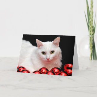 クリスマス猫 シーズンカード