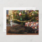 クリスマス猫 シーズンポストカード (正面/裏面)