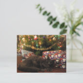 クリスマス猫 シーズンポストカード (スタンド正面)