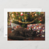 クリスマス猫 シーズンポストカード (正面/裏面)