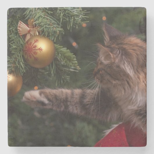 クリスマス猫 ストーンコースター (正面)