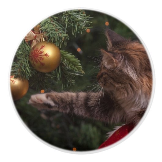 クリスマス猫 セラミックノブ (正面)
