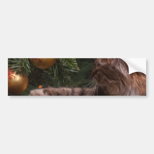 クリスマス猫 バンパーステッカー (正面)