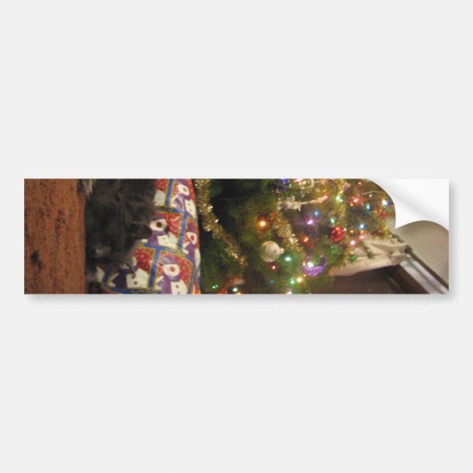 クリスマス猫 バンパーステッカー (正面)