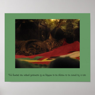 クリスマス猫 ポスター