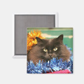 クリスマス猫 マグネット (正面/裏面)