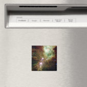 クリスマス生まれたばかりのツリーのクラスタの星 マグネット (インサイチュ (食洗機))