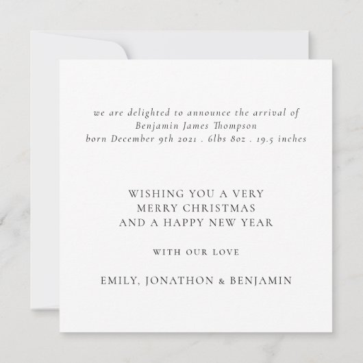 クリスマス生まれたばかりのフォト統計ホリデーカード ノートカード (裏面)