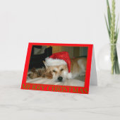 クリスマス用にサンタハットとコーンのかわいい秋田 シーズンカード (正面)