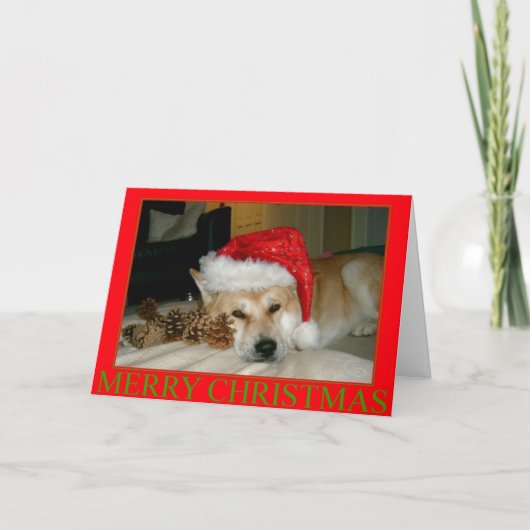 クリスマス用にサンタハットとコーンのかわいい秋田 シーズンカード (正面)