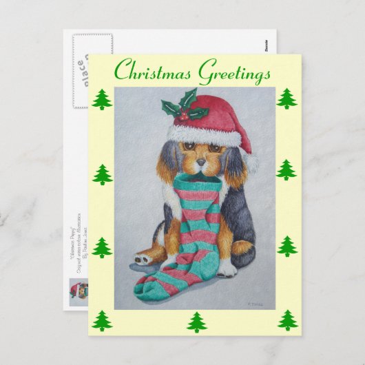 クリスマス用の服を着たかわいい黒と茶色の子犬 シーズンポストカード (正面/裏面)