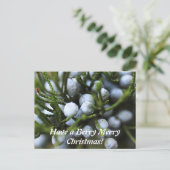 クリスマス用はがき シーズンポストカード (スタンド正面)