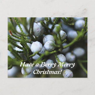 クリスマス用はがき シーズンポストカード