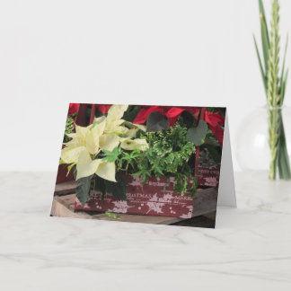 クリスマス箱 シーズンカード