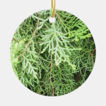 クリスマス素朴