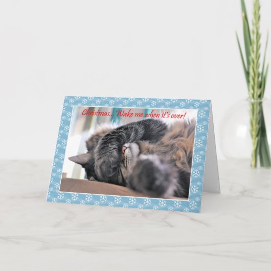 クリスマス終わったら起こしてくれ！キャットクリスマスc シーズンカード (正面)