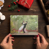 クリスマス結婚した新エレガント婚の写真 シーズンカード