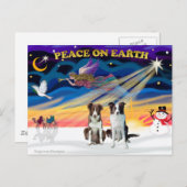 クリスマス縁どの日の出のコリーズ（2茶色） シーズンポストカード (正面/裏面)