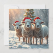クリスマス羊 シーズンカード (正面)
