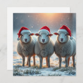 クリスマス羊 シーズンカード (正面/裏面)