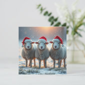 クリスマス羊 シーズンカード (スタンド正面)