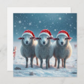 クリスマス羊 シーズンカード (正面/裏面)