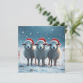 クリスマス羊 シーズンカード (スタンド正面)