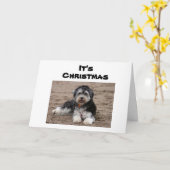 クリスマス考えるにここに座って カード (黄色い花)