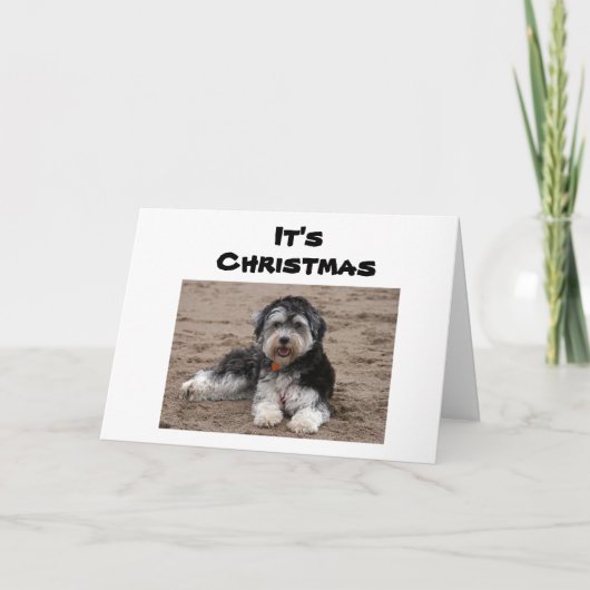 クリスマス考えるにここに座って カード (正面)