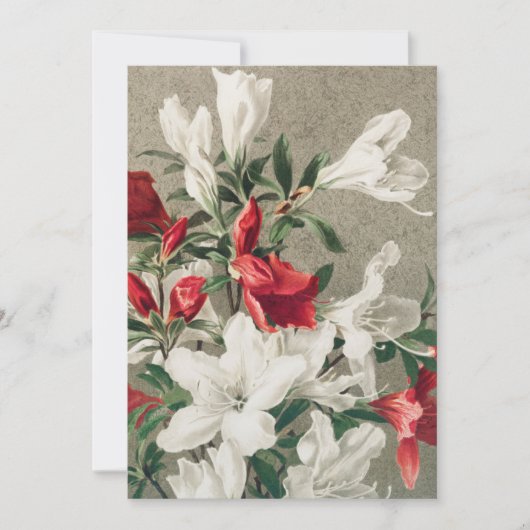 クリスマス赤と白りんご花 シーズンカード (正面)