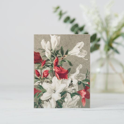 クリスマス赤と白りんご花 シーズンポストカード (スタンド正面)