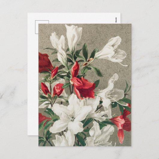 クリスマス赤と白りんご花 シーズンポストカード (正面/裏面)