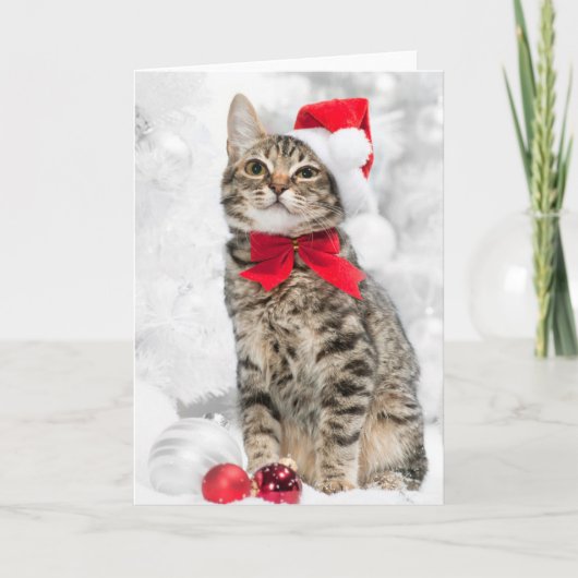 クリスマス近くの赤いサンタの帽子にクリスマスの猫 シーズンカード (正面)
