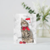クリスマス近くの赤いサンタの帽子にクリスマスの猫 シーズンポストカード (スタンド正面)