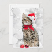 クリスマス近くの赤いサンタの帽子にクリスマスの猫 シーズンポストカード (正面/裏面)