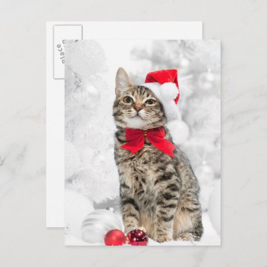 クリスマス近くの赤いサンタの帽子にクリスマスの猫 シーズンポストカード (正面/裏面)