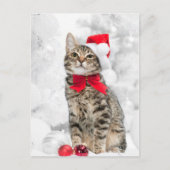 クリスマス近くの赤いサンタの帽子にクリスマスの猫 シーズンポストカード (正面)