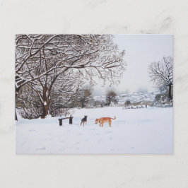 クリスマス遊の雪の風景の中の犬 ポストカード