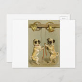 クリスマス鐘を鳴らしている2匹のパグ犬 シーズンポストカード (正面/裏面)