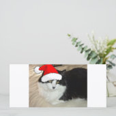 クリスマス長髪の黒白の子猫 (スタンド正面)