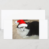 クリスマス長髪の黒白の子猫 (正面/裏面)