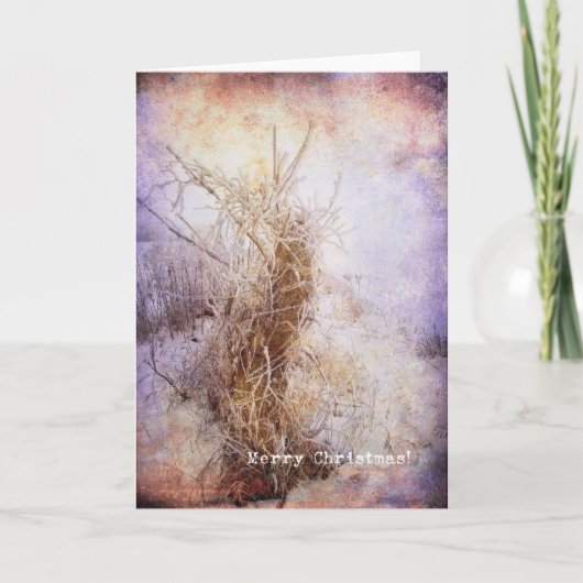 クリスマス霜の降りた シーズンカード (正面)