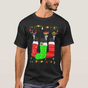クリスマス靴下でおそろいのXのボストンテリア3匹 Tシャツ